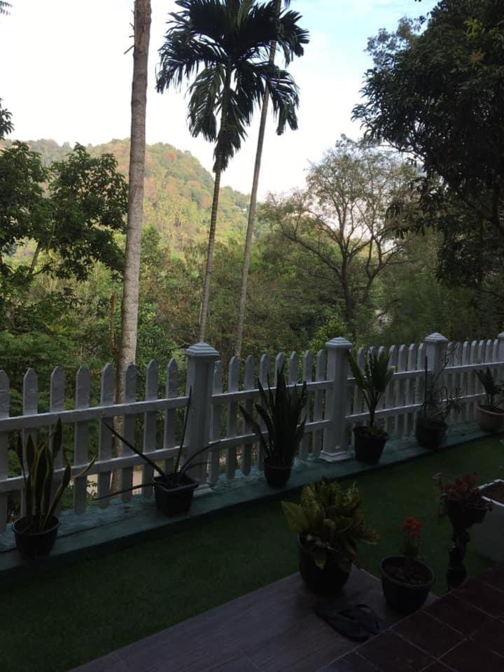 Villa25 Homestay Free Pick Up From The Centre Kandy Exterior photo
